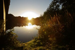 glasshouse sunrise 15.jpg